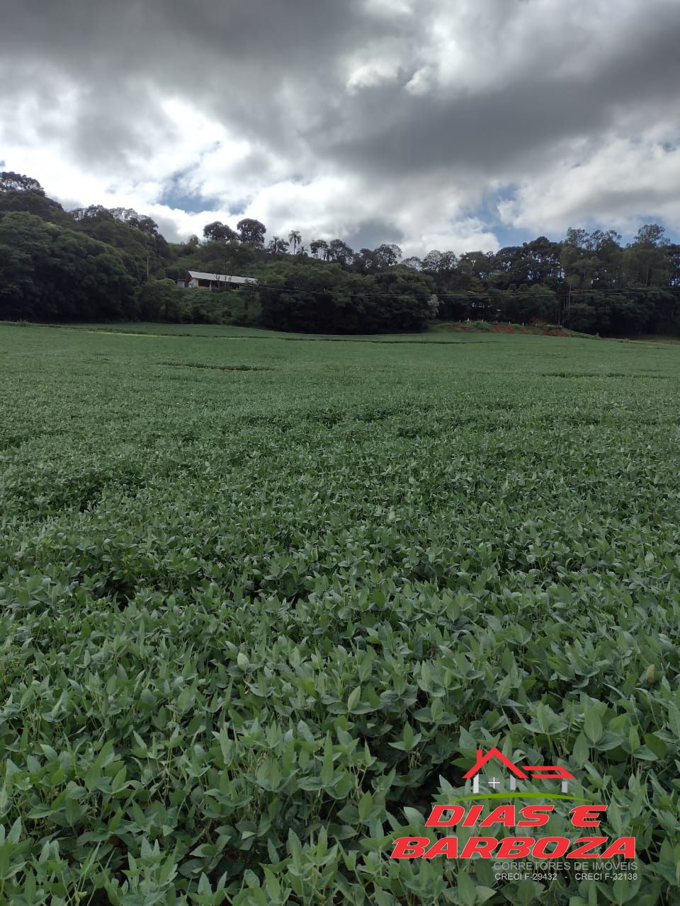 rea rural de 2,5 alq, sendo 90% mecanizados contendo granja sunos. Localizada 