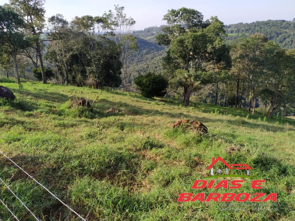 Dias e Barboza Corretores de Imveis em Ampre PR