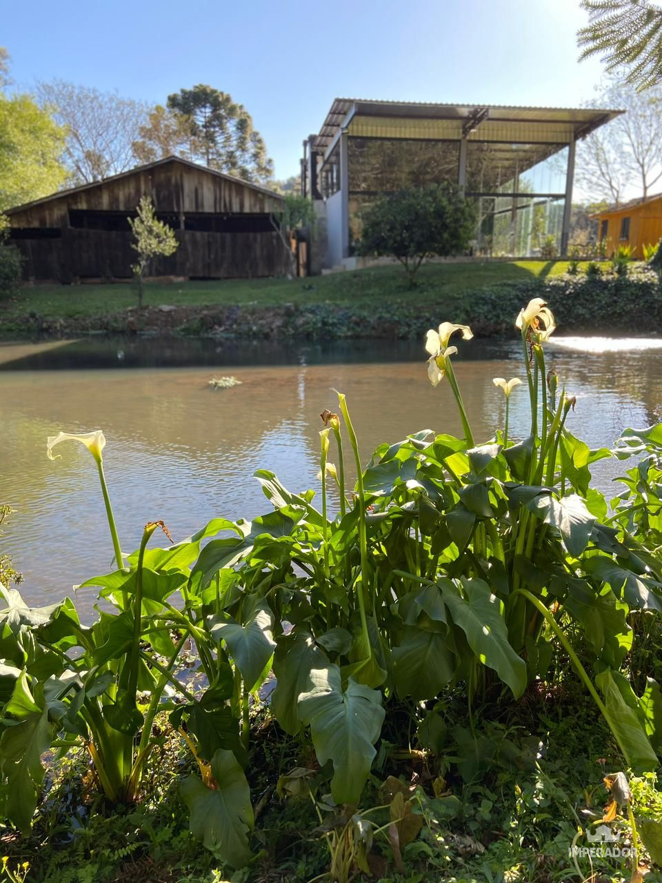 Imperador Imveis em Pato Branco PR