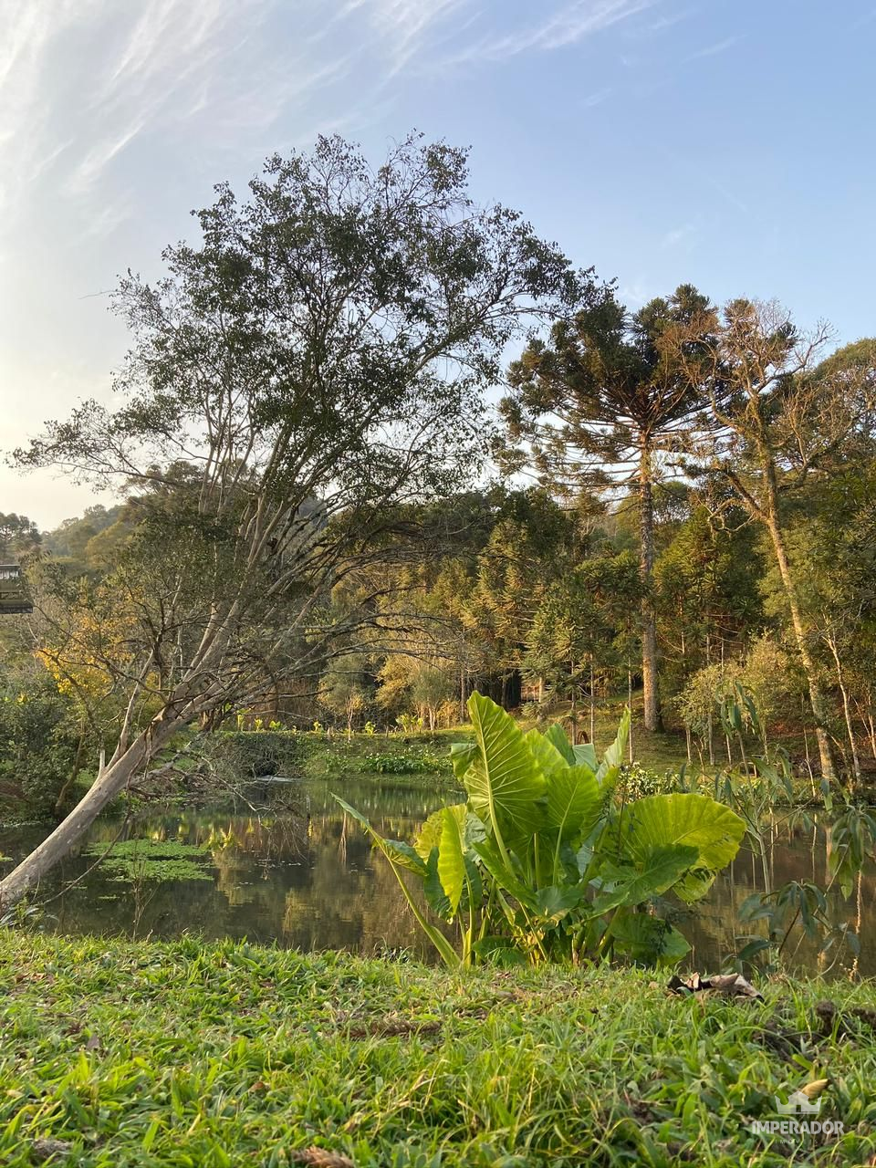 Imperador Imveis em Pato Branco PR