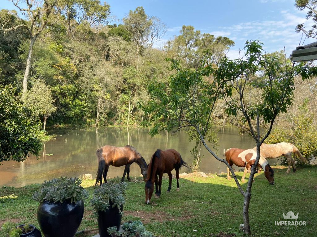 Imperador Imveis em Pato Branco PR