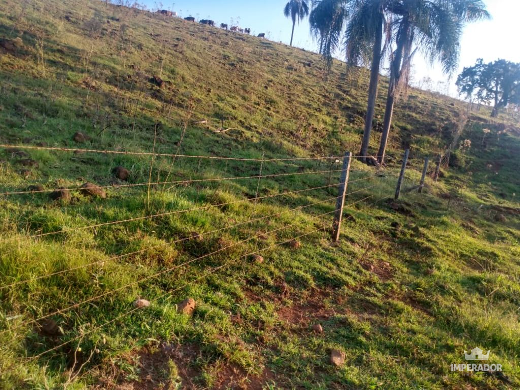 Imperador Imveis em Pato Branco PR