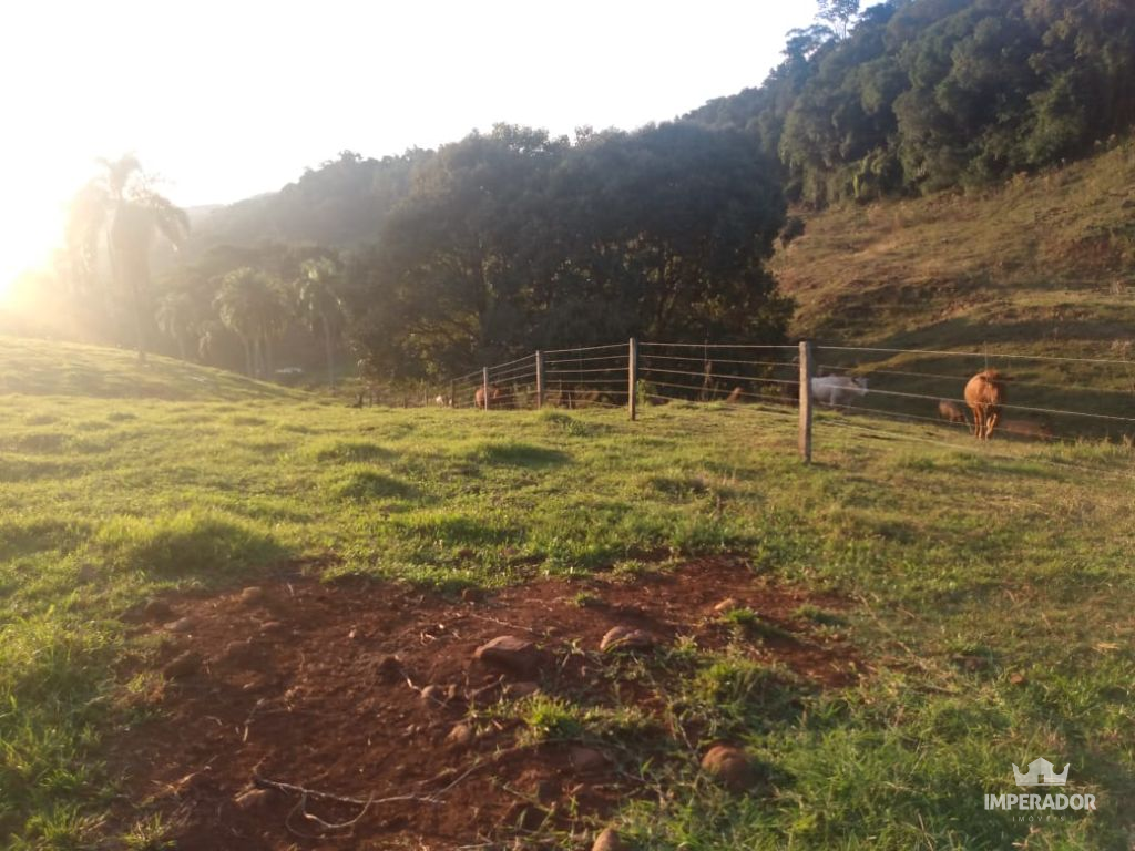 Imperador Imveis em Pato Branco PR