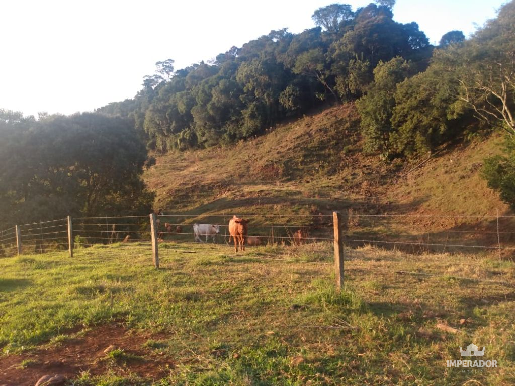 Imperador Imveis em Pato Branco PR