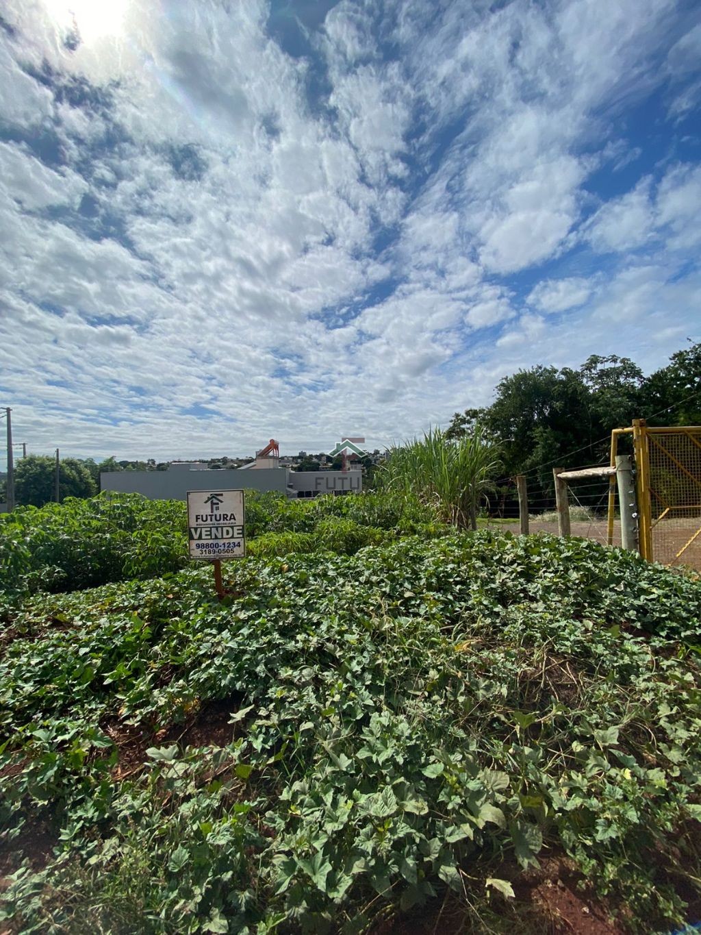 Terreno