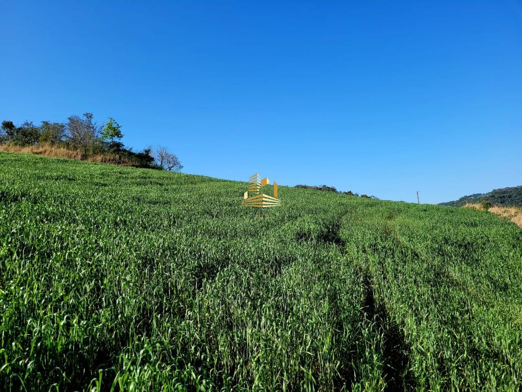 Área Rural Barata