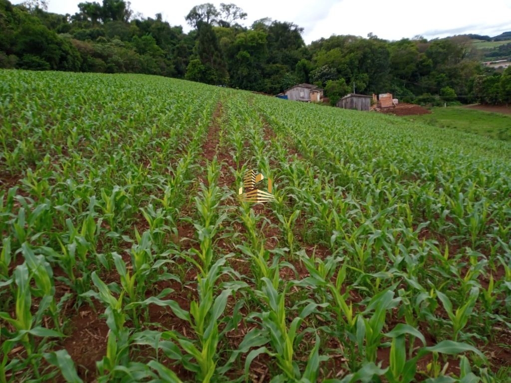 Chácara em Novo Horizonte 