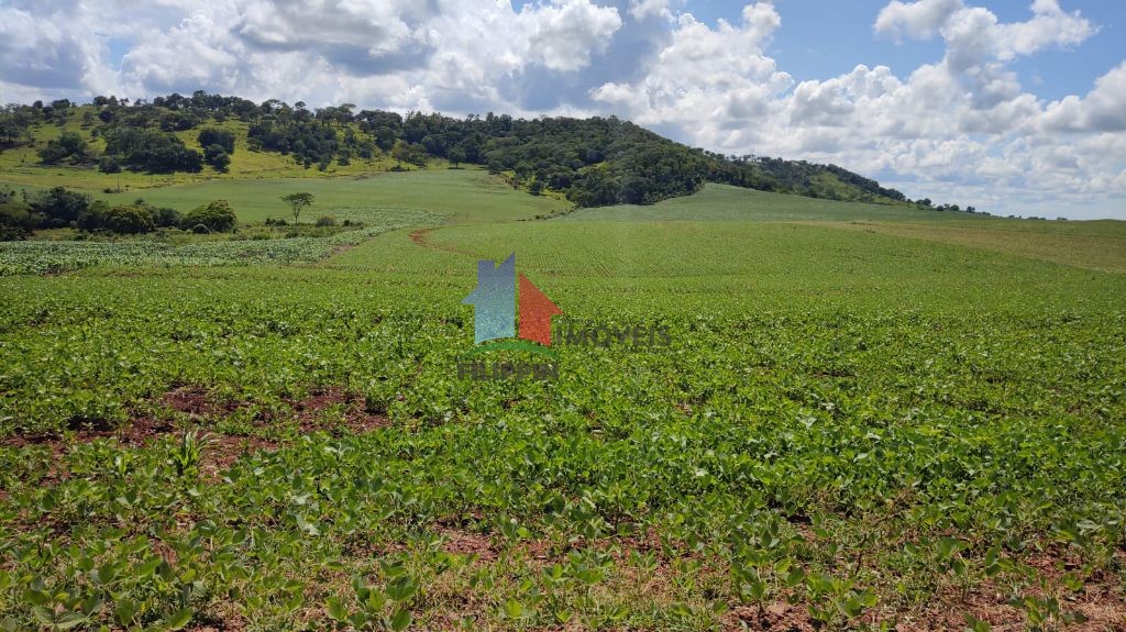 CHÁCARA Á 2 KM DA BR 277