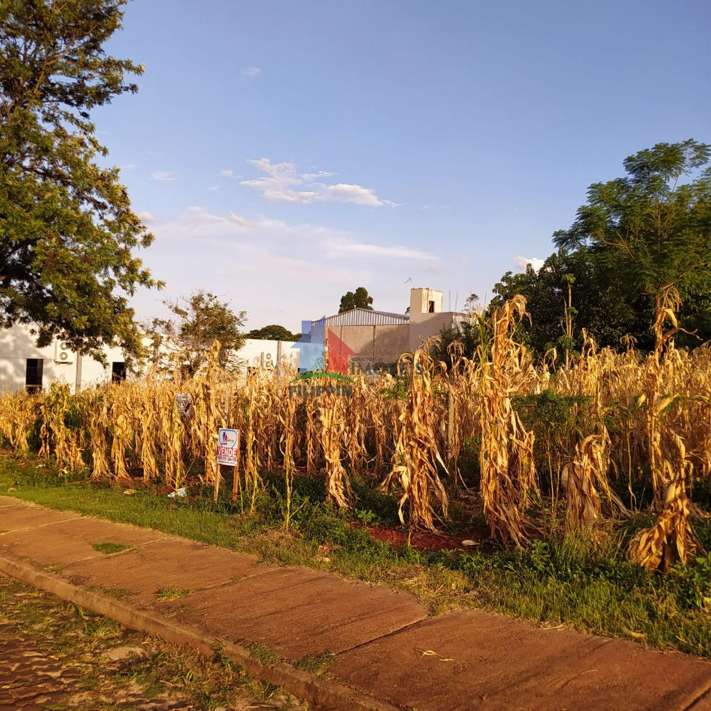 LOTE DE ESQUINA - JARDIM IRENE