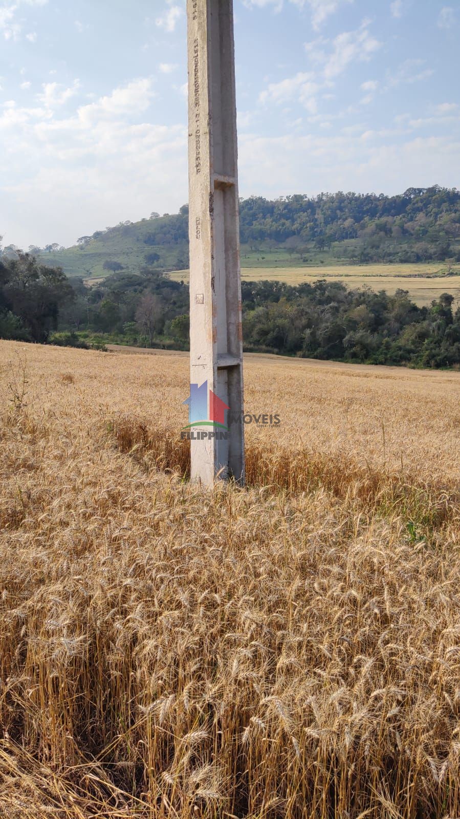 CHÁCARA DE 2 ALQUEIRES ESPIGÃO DO NORTE